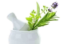 Hormon Bozukluğu Bitkisel Tedavisi